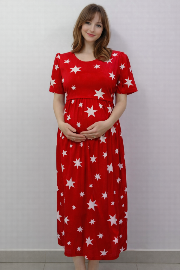 Christmas Star's - Feeding