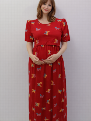 Butterfly Red - Feeding